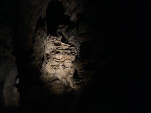carlsbad caverns dark zone